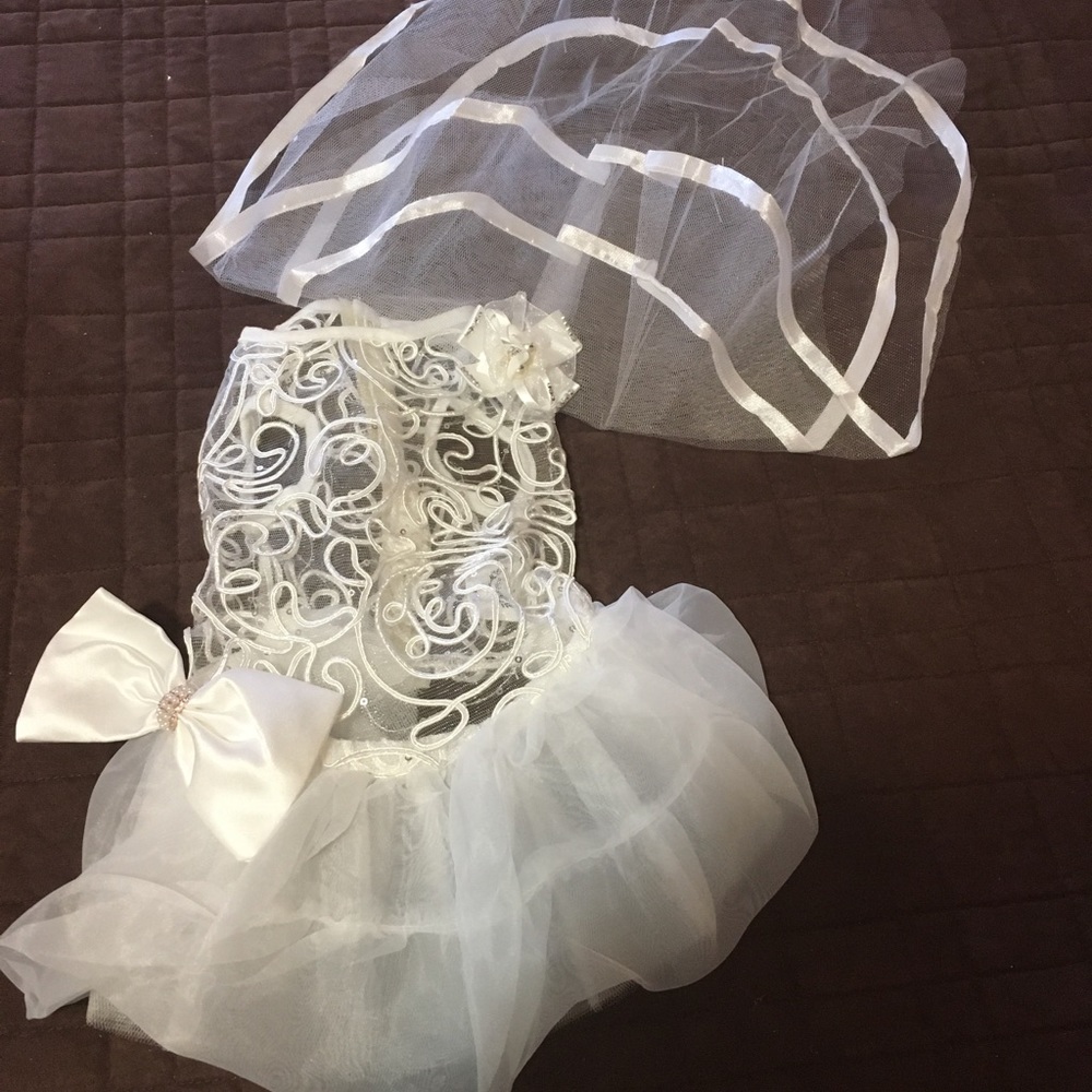 SMALL BRIDAL DRESS AND VEIL